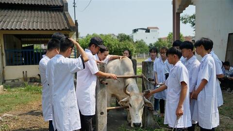 Thu hút học viên vào các ngành nghề khó tuyển