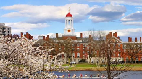 Tất tần tật những điều kiện nhận học bổng Harvard: Có khó khủng khiếp như chúng ta hình dung?
