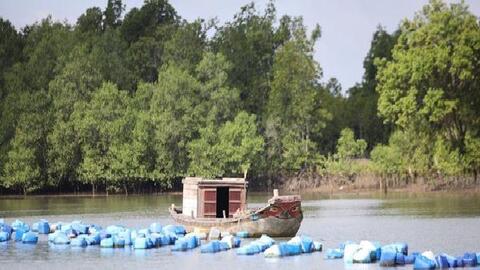 Tích hợp các nguyên tắc bền vững cho Cần Giờ