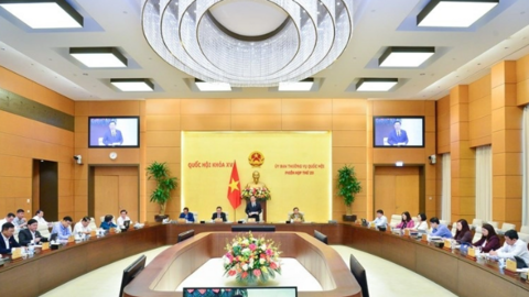 Sửa Luật Thuế giá trị gia tăng, tránh tình trạng "luật khung", "luật ống"