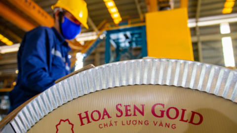 Hoa Sen (HSG) lên kế hoạch IPO một công ty con