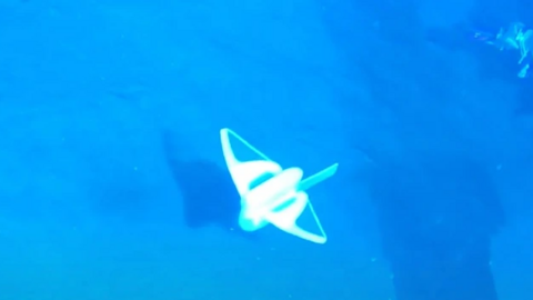 Trung Quốc thiết kế robot biết bơi, phát hiện chất gây ô nhiễm và mầm bệnh