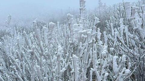 Miền Bắc chìm trong rét, 20 tỉnh, thành dưới 10 độ C