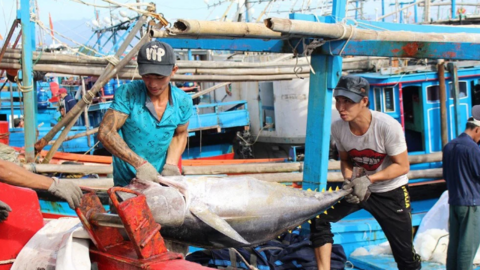 Hợp tác phát triển 7 ngành kinh tế biển Nam Trung Bộ