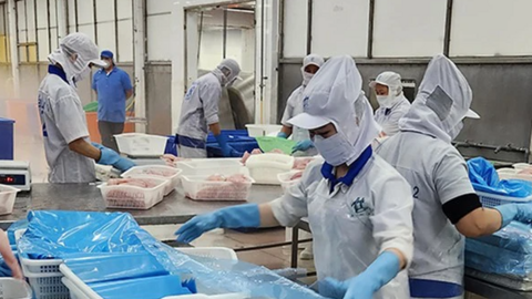 Cước phí vận tải biển tăng cao: Doanh nghiệp chuyển hướng thị trường