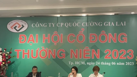 Quý IV gánh' lợi nhuận cả năm 2023 cho Quốc Cường Gia Lai