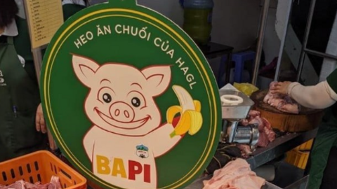 So kè lợi nhuận ‘heo ăn chuối’ (HAG) và ‘heo ăn chay’ (BAF)