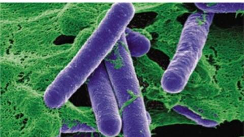 Bác sĩ TP Hồ Chí Minh cứu sống nhiều bệnh nhi trong dịp Tết