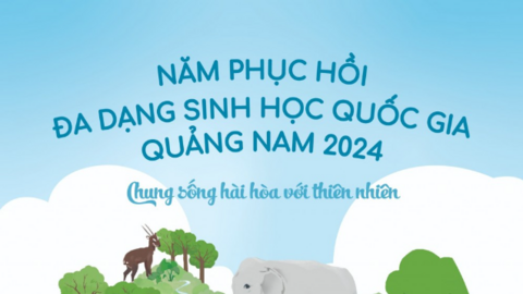 Quảng Nam triển khai chuỗi hoạt động bảo vệ đa dạng sinh học
