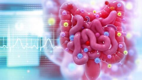 Giáo sư bật mí 'bộ tứ siêu đẳng' giúp nuôi dưỡng đường ruột, chống viêm, ngừa ung thư cực tốt