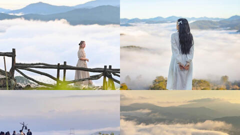 Du khách rối bời trước "ma trận" săn mây ở Đà Lạt: Thật giả lẫn lộn, xảy ra tình trạng chèo kéo tranh giành khách