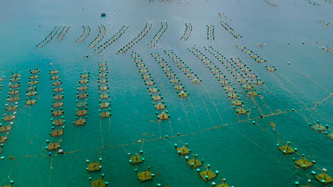 Thị xã được mệnh danh là thủ phủ tôm hùm, nằm bên cao tốc Bắc - Nam, phấn đấu lên thành phố vào năm sau