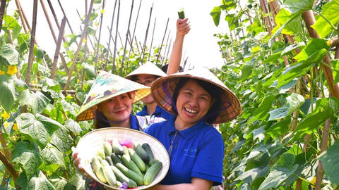 Tour du lịch ven đô Hà Nội hút khách nước ngoài