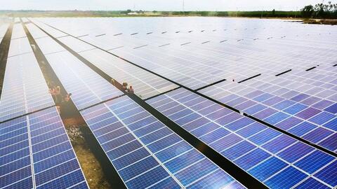 Bamboo Capital đạt doanh thu 985 tỷ đồng trong quý 1/2024, mảng năng lượng tái tạo đóng góp lớn