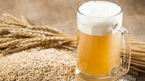 Doanh nghiệp đầu tiên sản xuất malt bia tại Việt Nam báo lỗ năm thứ 4 liên tiếp
