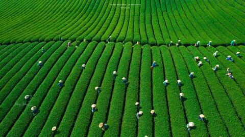 Việt Nam có 1 nơi được “Oscar du lịch” vinh danh là điểm đến thiên nhiên khu vực hàng đầu thế giới: “Trốn nóng” đẹp quanh năm, cách Hà Nội gần 200km