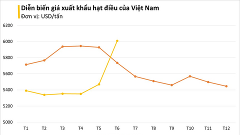 Loại hạt Việt Nam đứng đầu thế giới về xuất khẩu: Mỹ chốt đơn nửa tỷ USD, giá tăng vọt trong tháng 6