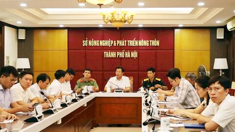 Hà Nội cảnh giác cao độ, chủ động ứng phó với bão số 3