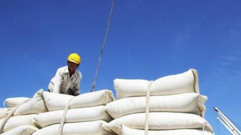 Giá gạo xuất khẩu của Việt Nam tăng