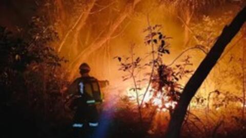 Cháy rừng làm gia tăng hiện tượng Trái đất nóng lên