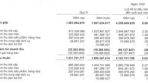 Hoàng Anh Gia Lai (HAG) báo lãi sau thuế quý 3 hơn 350 tỷ đồng, bán trái cây 2 đồng vốn 1 đồng lời