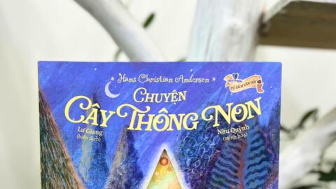 "Chuyện cây thông non" đặc biệt mùa Giáng sinh