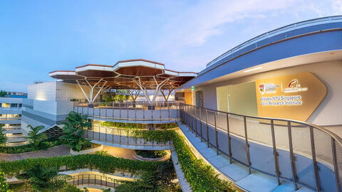 Singapore kiểm tra 'chặt' hồ sơ du học