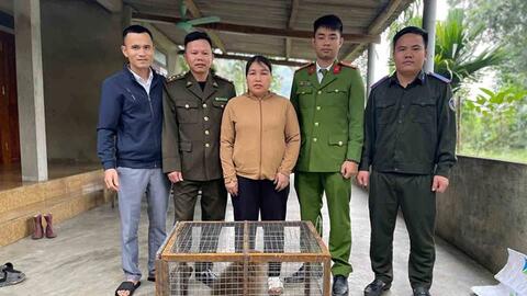 Một cá thể khỉ vàng được bàn giao cho Vườn Quốc gia Vũ Quang