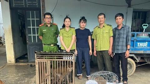 Người dân giao nộp 2 cá thể khỉ, lực lượng chức năng thả về tự nhiên