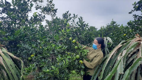 Quyết tâm xóa tình trạng 'lõm sóng' ở vùng khó, thúc đẩy chuyển đổi số giảm nghèo