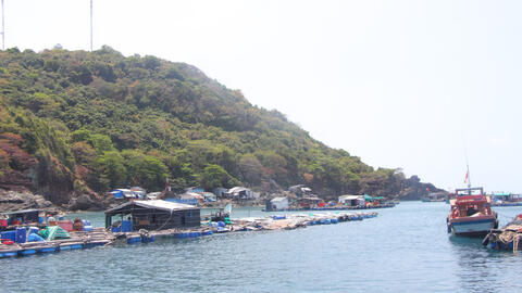 Đề xuất triển khai 'Dự án nuôi biển' ứng dụng công nghệ cao khu vực đảo Hòn Chuối