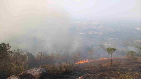 Cảnh báo các khu vực có nguy cơ cháy rừng cấp cực kỳ nguy hiểm