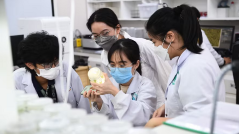 Trường ĐH Quốc tế tuyển 2.300 chỉ tiêu, 'chốt' phương thức xét tuyển tổng hợp