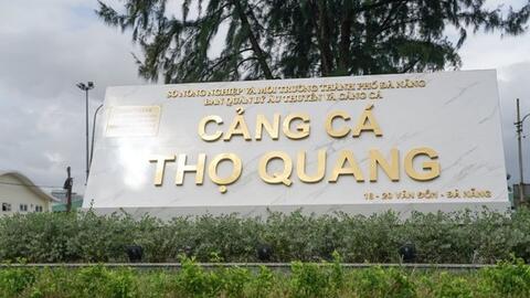 Nhiều dấu hiệu làm giả hàng trăm nhật ký khai thác hải sản ở Đà Nẵng