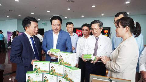 Chuyển đổi xanh mở ra hướng phát triển bền vững cho Đà Nẵng