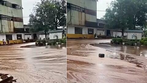 Nhà máy đường khẩn trương thu dọn mật mía sau vụ sét đánh thủng bể chứa