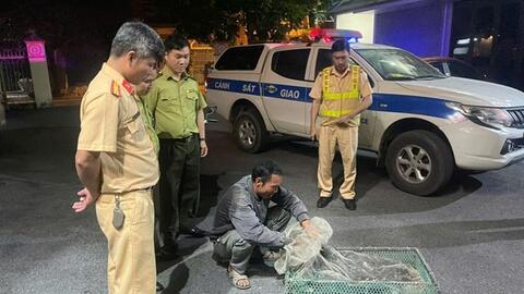 Xử lý người đàn ông bẫy chim hoang dã từ Ninh Bình vận chuyển về Thanh Hóa tiêu thụ