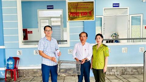 Kỳ đà vân được người dân giao nộp để thả về tự nhiên
