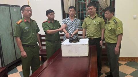 Vận chuyển một cá thể rắn hổ chúa đã chết, người đàn ông ở Ninh Bình bị khởi tố