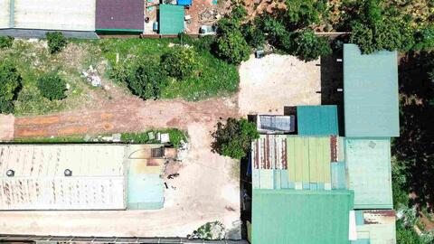 Chỉ đạo xử lý điểm tập kết heo gây ô nhiễm sau phản ánh của Báo Lao Động