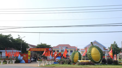 Sầu riêng - ‘đòn bẩy’ phát triển kinh tế Ea Knuếc