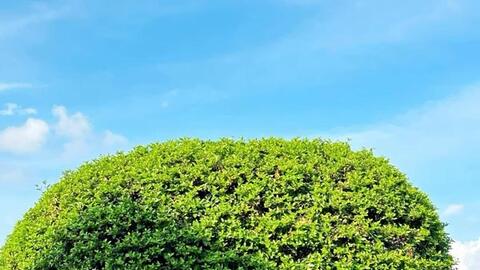 Chữa lành giữa biển xanh Phú Quý