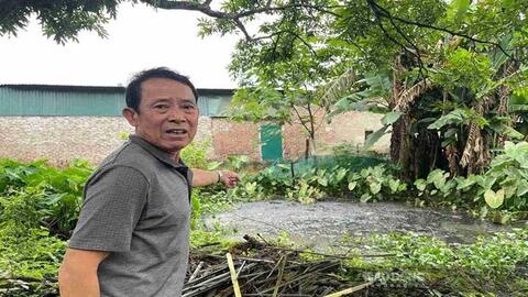 Ô nhiễm kéo dài từ các trang trại chăn nuôi ở Hưng Yên