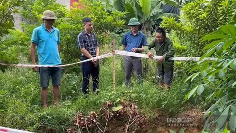 Sụt lún bất thường, 11 hộ dân tại Ninh Bình bị ảnh hưởng
