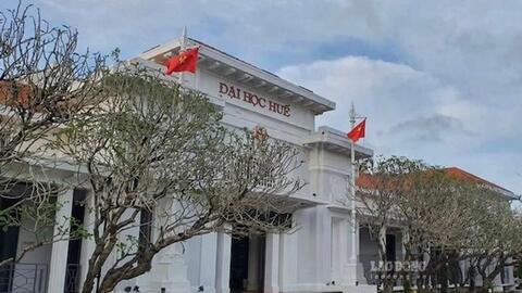 Đại học Huế rà soát việc dùng chứng chỉ ngoại ngữ xét tuyển 2026