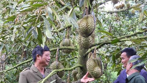 Dliê Ya nhân rộng điển hình tiên tiến để người dân phát triển kinh tế