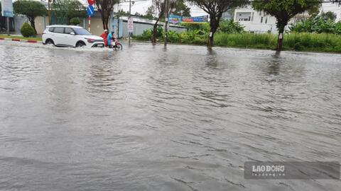 Mưa lớn làm ngập hơn 21.000ha lúa, 892 nhà ở Cà Mau