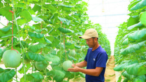 Đào tạo nghề chất lượng cao mở lối giảm nghèo bền vững ở Hà Tĩnh