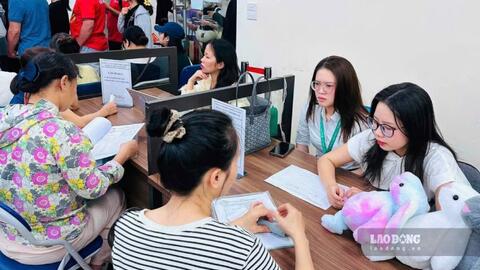 Hướng dẫn lao động, doanh nghiệp tham gia cổng thông tin việc làm
