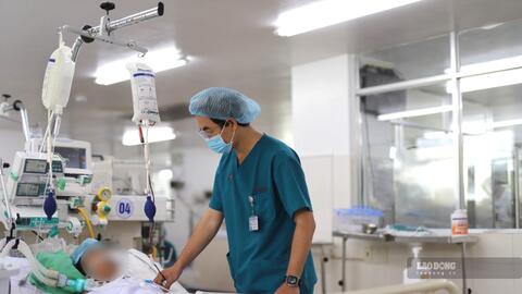 Bác sĩ áp dụng kỹ thuật ECMO cứu sống người phụ nữ ngộ độc nặng